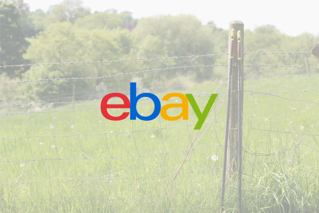 eBay logo