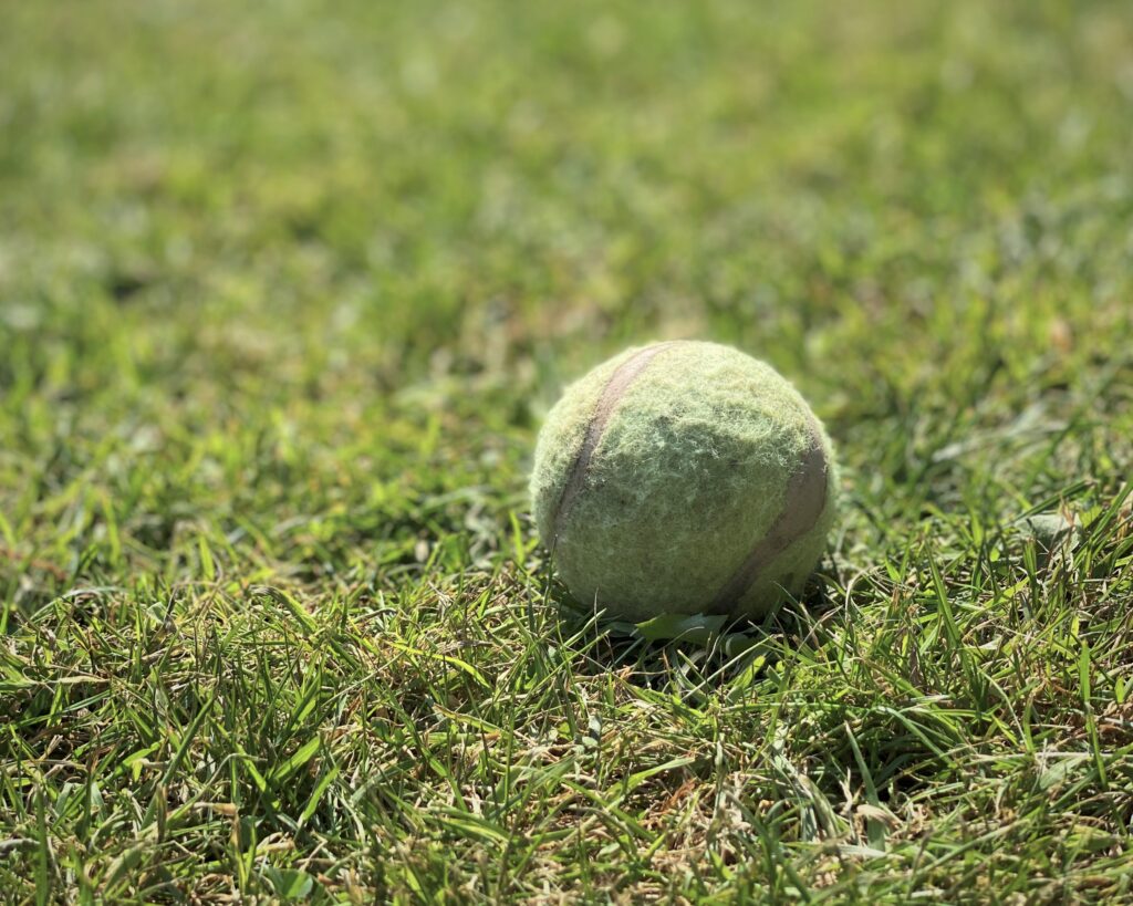 A green ball on parched grass